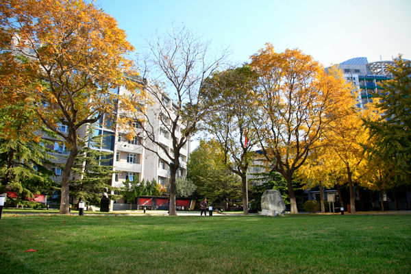 北京青年政治學(xué)院 我的大學(xué)