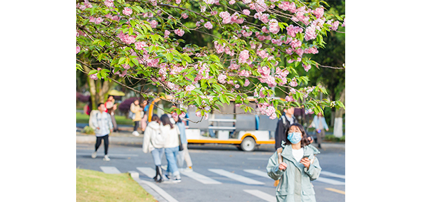 西南政法大學(xué) - 最美大學(xué)