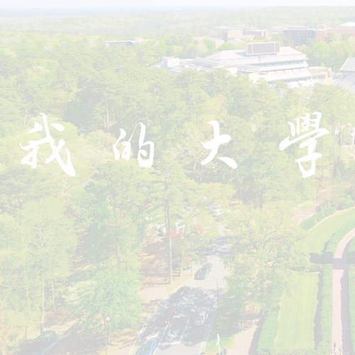 最美大學