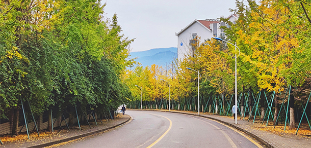 重慶三峽學院 - 最美大學