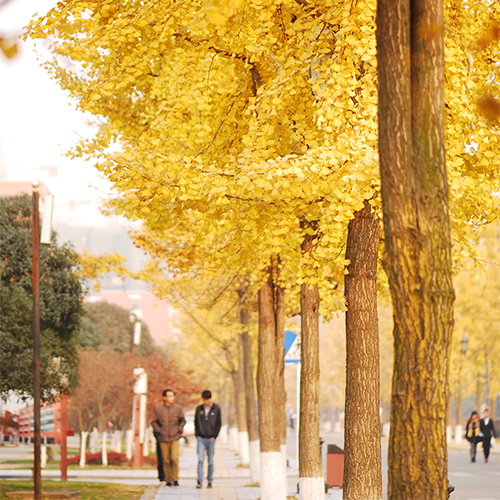 大學志