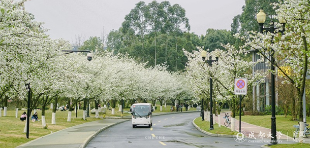 成都大學