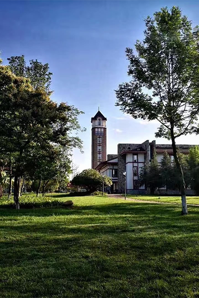 成都東軟學院