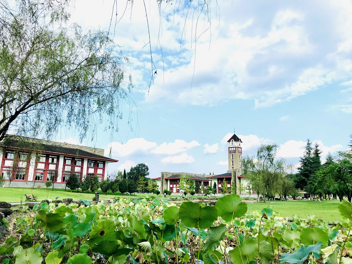 成都東軟學(xué)院 - 院校概況