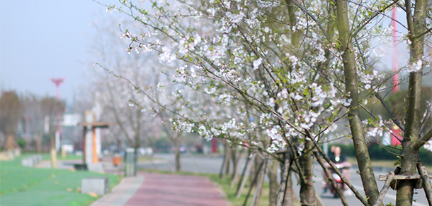 四川工商學院 - 最美大學