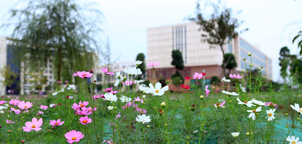 四川工商學院 - 最美大學