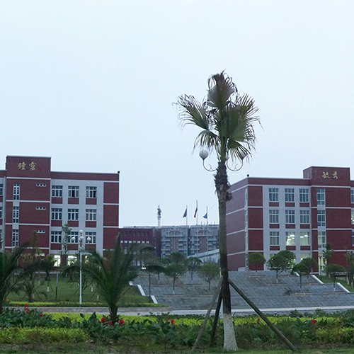 最美大學(xué)