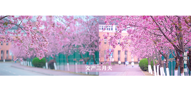 四川文化產(chǎn)業(yè)職業(yè)學院 - 最美大學