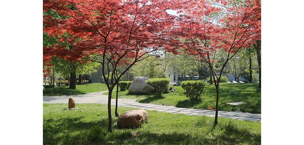 西安建筑科技大學(xué)華清學(xué)院 - 最美大學(xué)