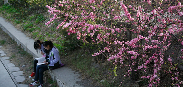 我的大學(xué)-大學(xué)志