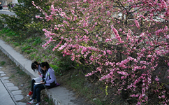 天津大學 - 我的大學