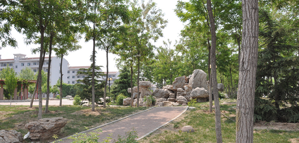 南開大學濱海學院 - 最美大學