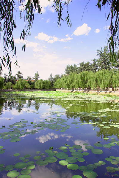 河北經(jīng)貿(mào)大學(xué)