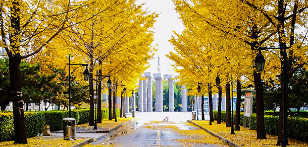 河北東方學(xué)院 - 最美大學(xué)