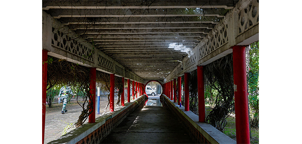 山西財(cái)經(jīng)大學(xué) - 最美大學(xué)