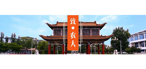 山西農(nóng)業(yè)大學 - 最美大學