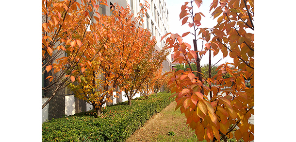 山西建筑職業(yè)技術(shù)學(xué)院 - 最美大學(xué)