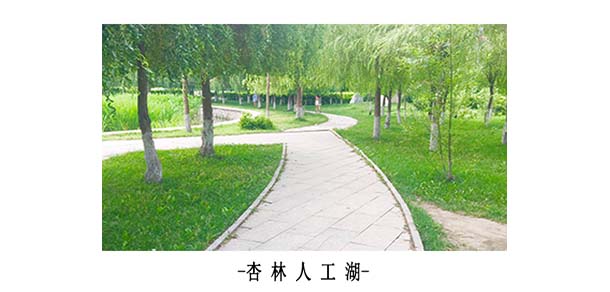 遼寧中醫(yī)藥大學(xué)杏林學(xué)院