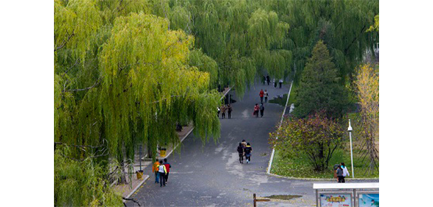 沈陽職業(yè)技術(shù)學(xué)院 - 最美大學(xué)