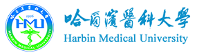 2021年-2024年高考招生資訊