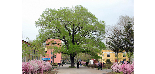 我的大學(xué)-大學(xué)志