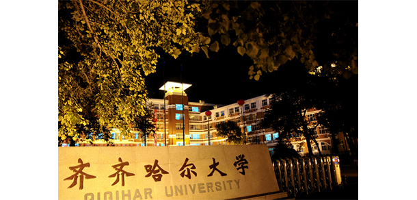 我的大學(xué)-大學(xué)志