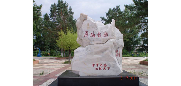 我的大學(xué)-大學(xué)志